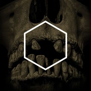 Lustmord & Various Artists - The Others (Lustmord Deconstructed) [vinyl 3LP limited color ed.]