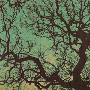 Föllakzoid - Föllakzoid [vinyl galaxy green]