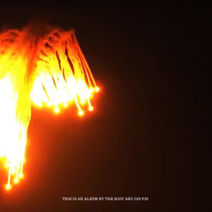 The Body & Dis Fig - Orchards of a Futile Heaven [vinyl limited coke bottle]