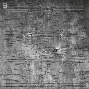 Timothy Archambault - Onimik​ig [vinyl]