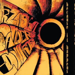 Mikołaj Trzaska, John Edwards, Mark Sanders - Because It Happens [vinyl 180g + download code]