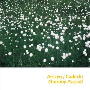 Tomasz Gadecki, Arszyn - Choroby Pszczół [vinyl 12" limited + downloadcode]